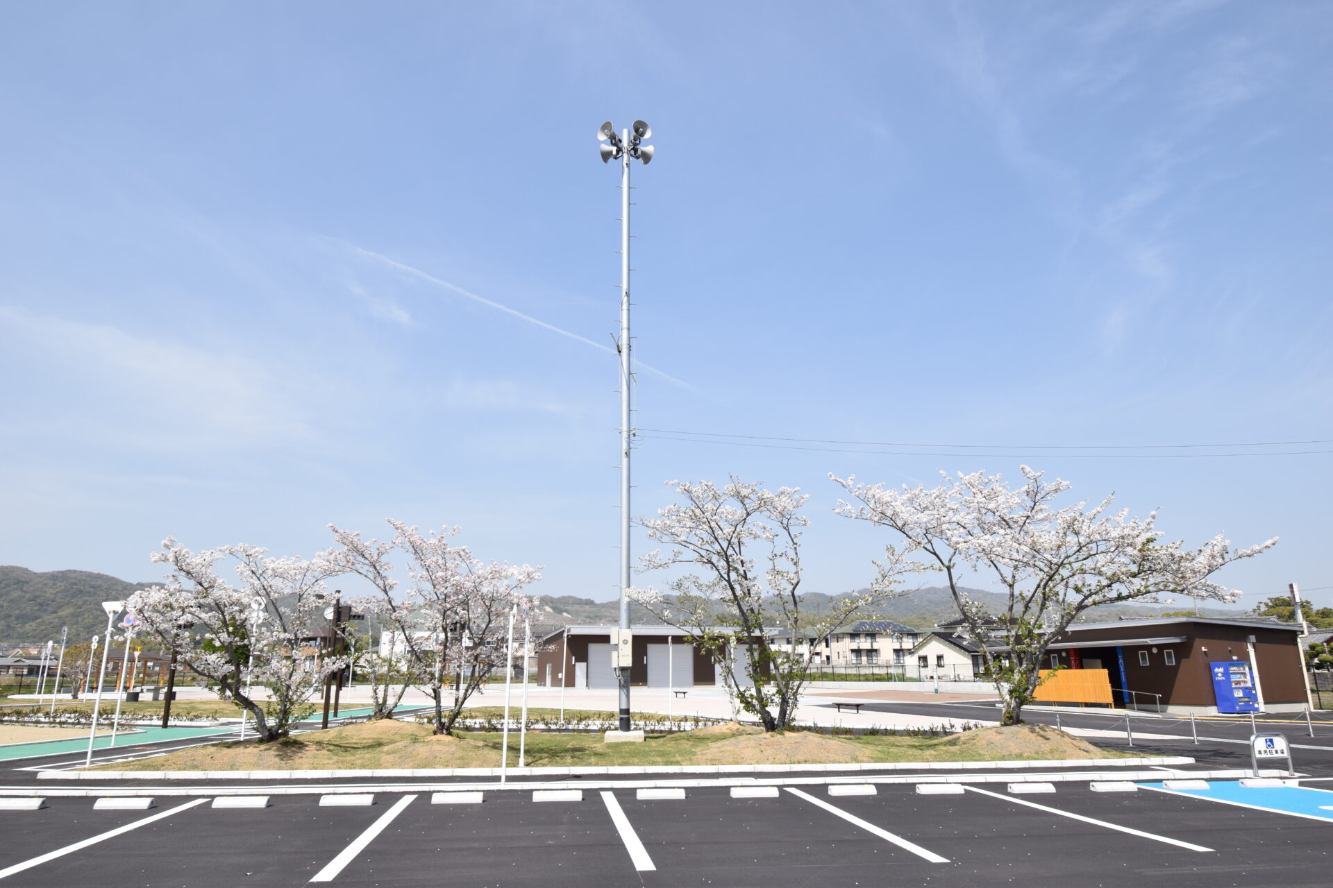 01 Dsc 0596