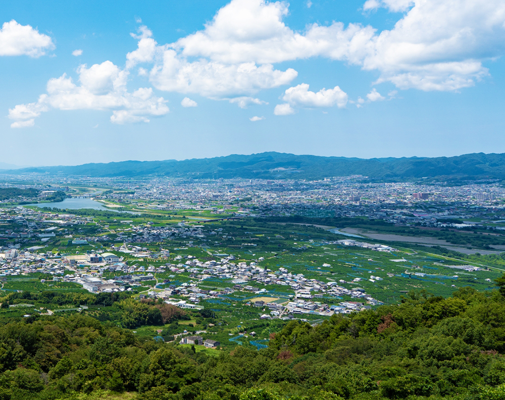 Sato